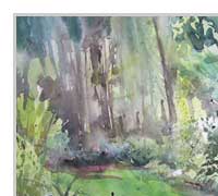 187_sven_swora_Blick-ins-Erlenluch_25062015