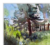 188_sven_swora_Abendsonne-im-Garten_28062015